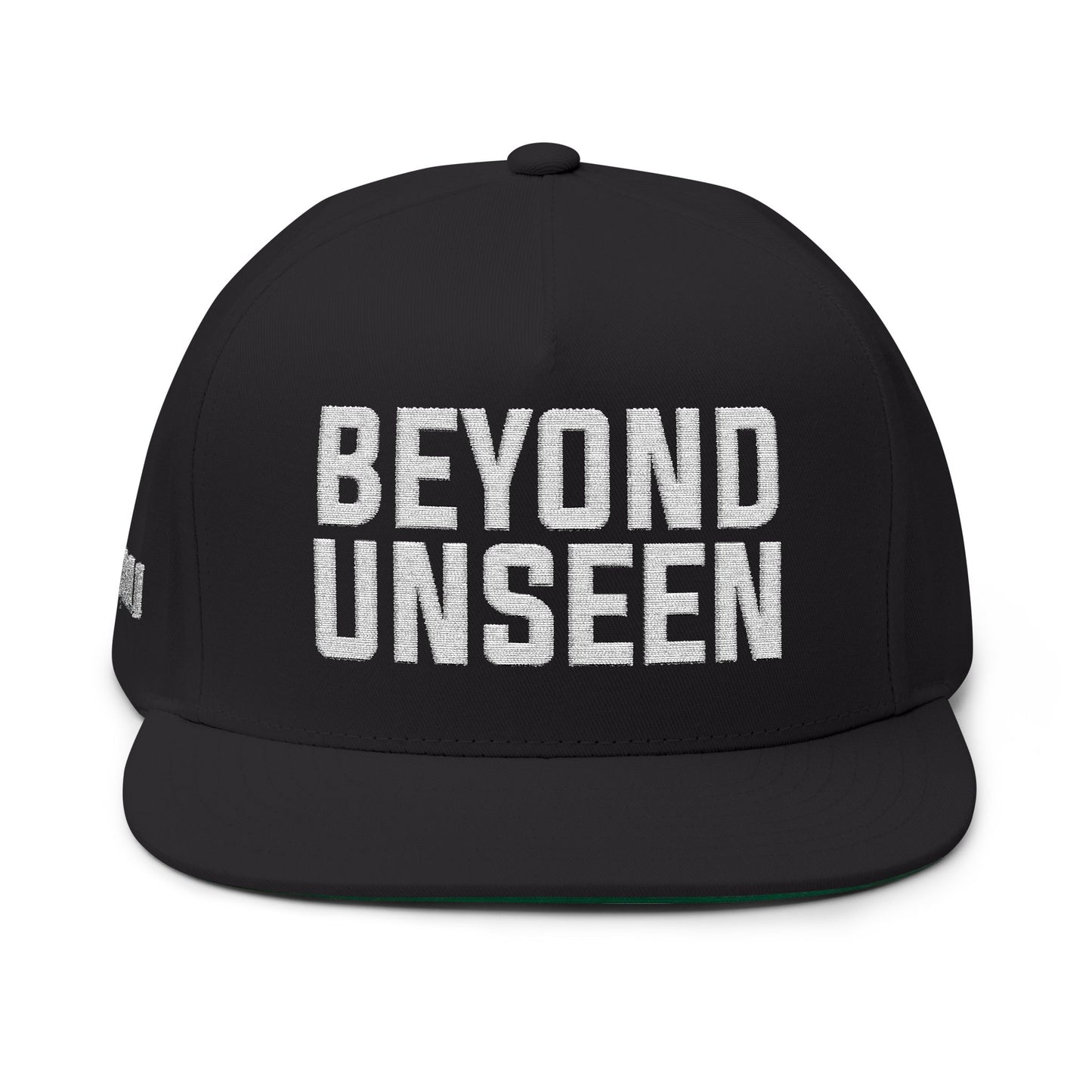 Beyond Unseen -Flat Bill Cap