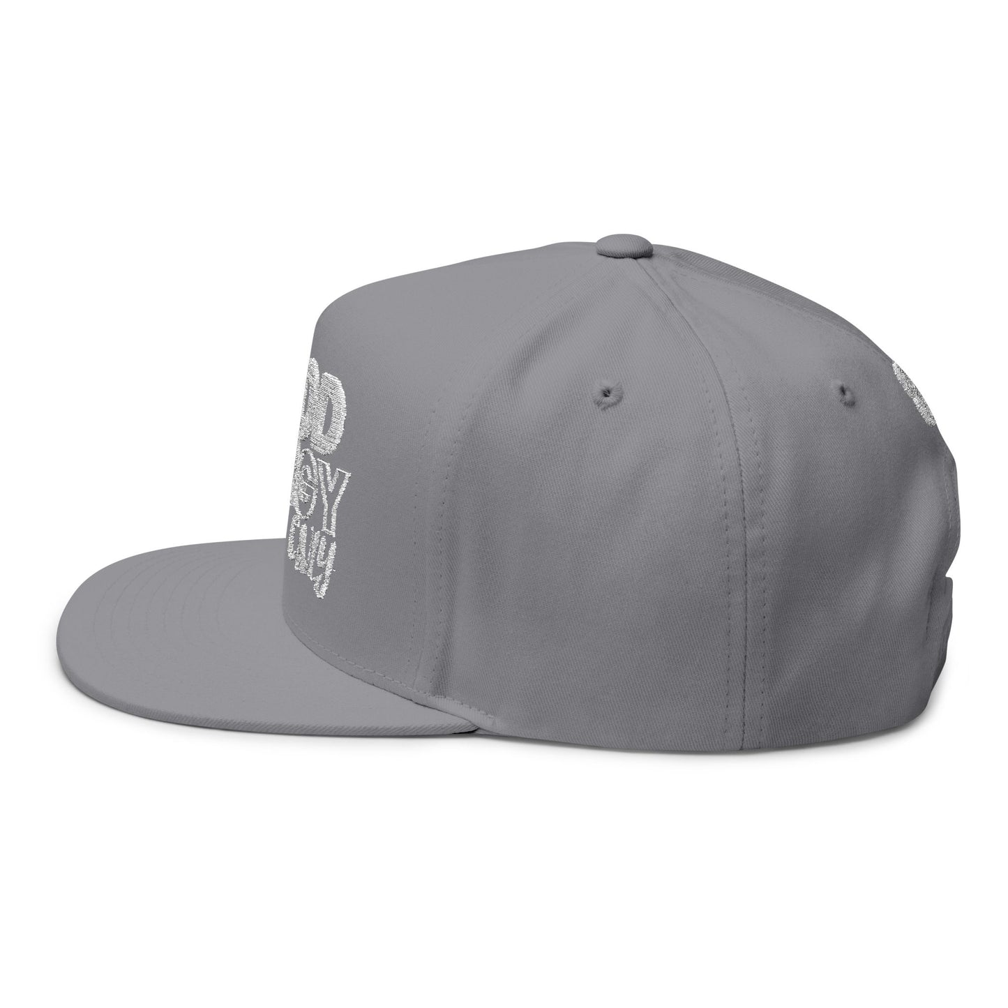 Good Energy-Flat Bill Cap