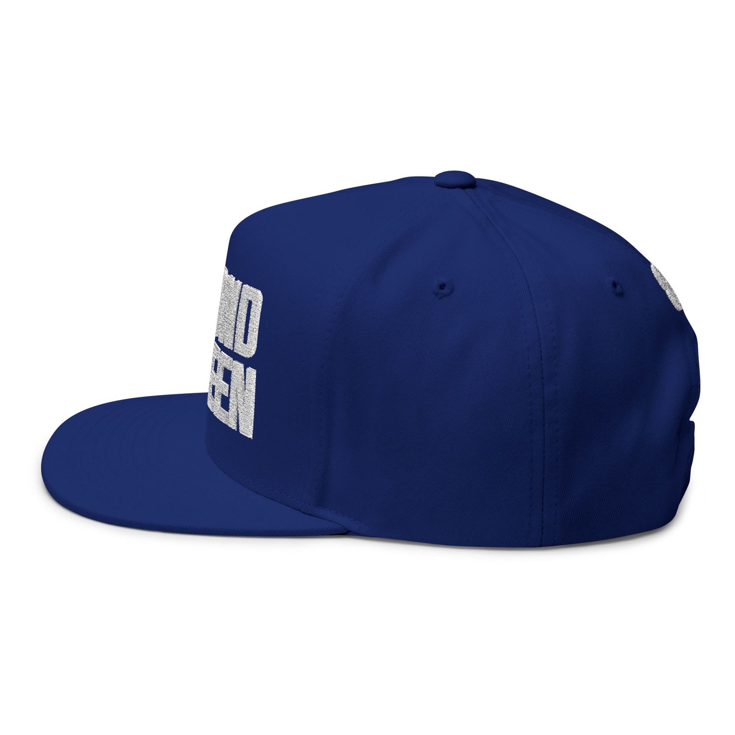 Beyond Unseen -Flat Bill Cap
