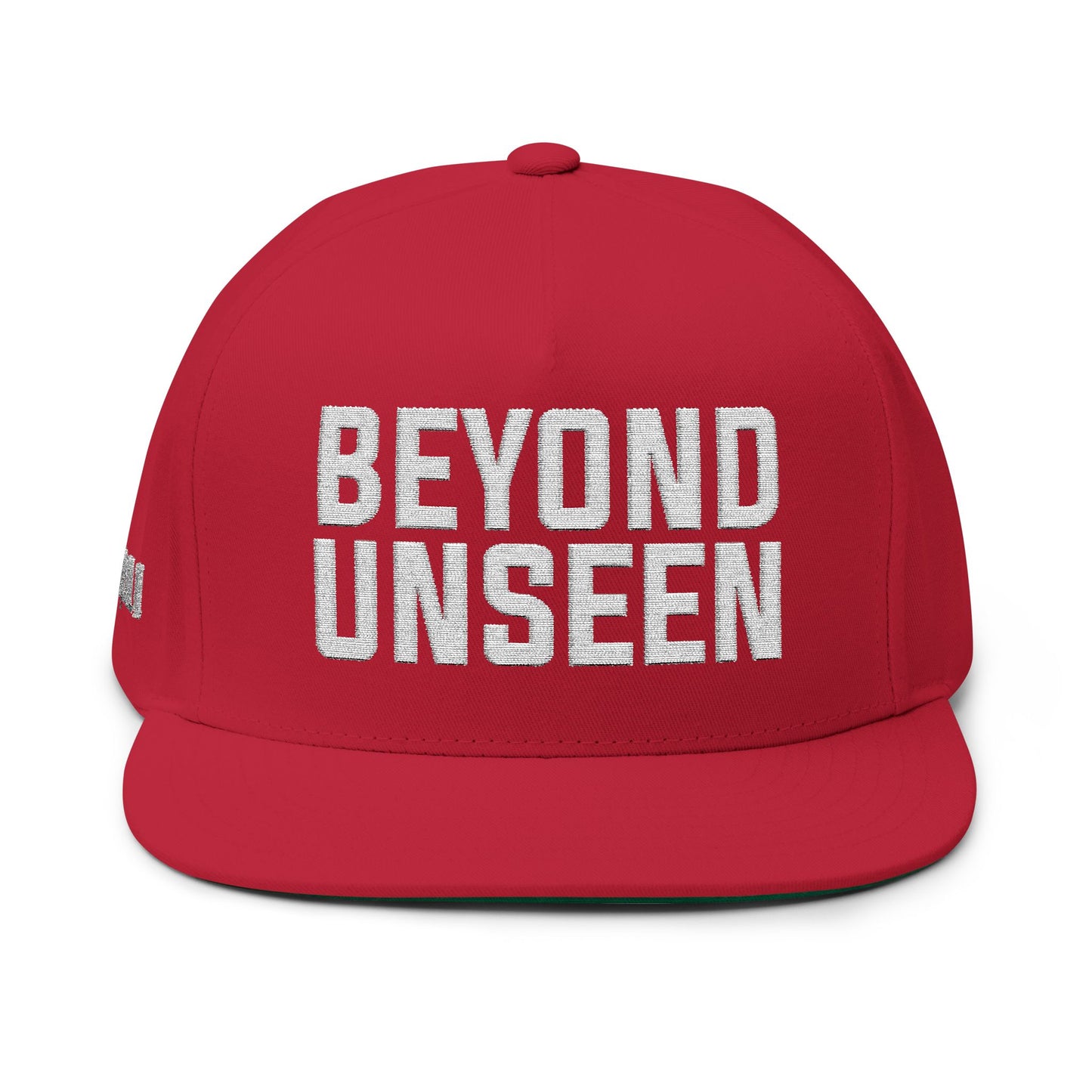 Beyond Unseen -Flat Bill Cap