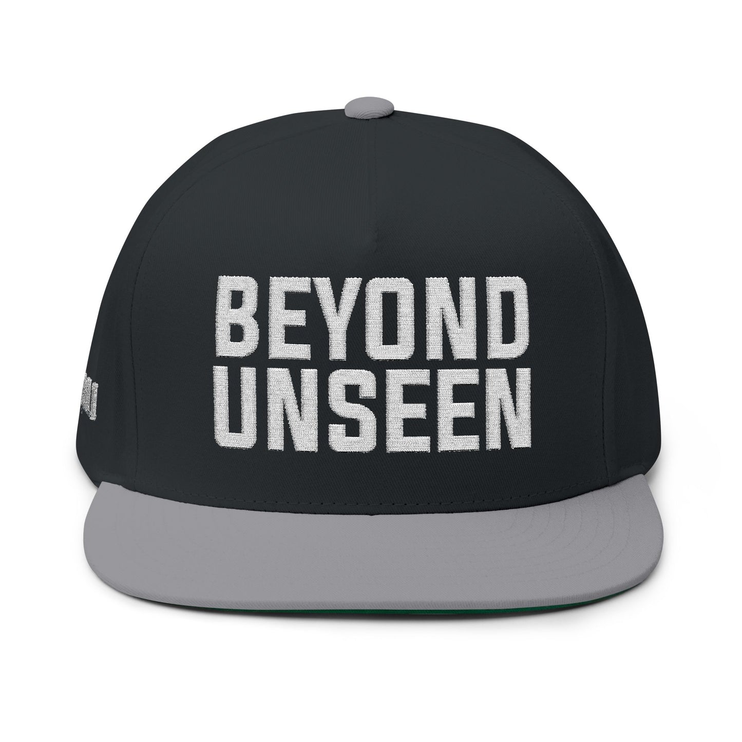 Beyond Unseen -Flat Bill Cap