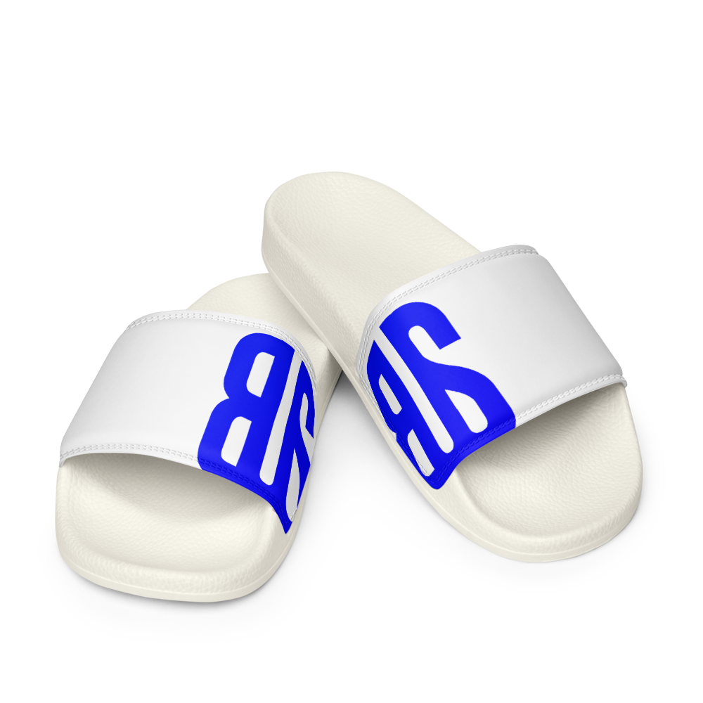 Slides