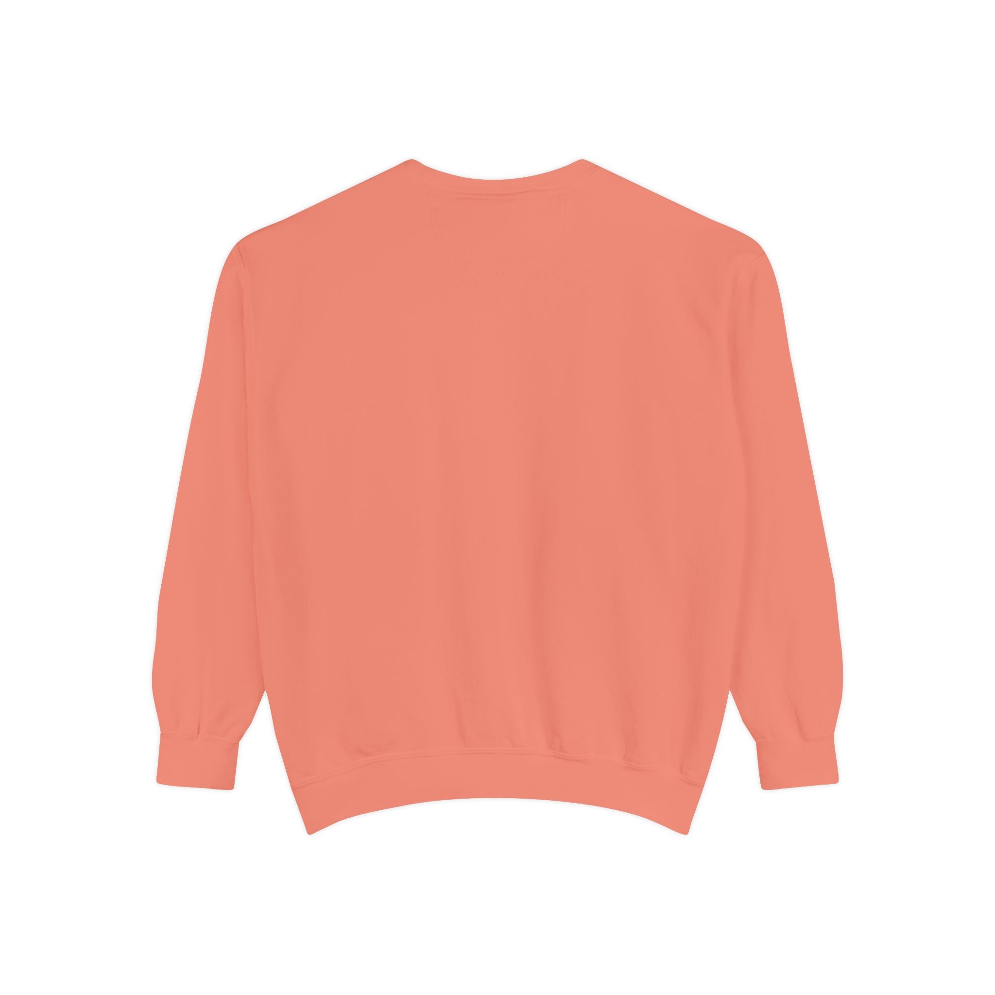 Beyond Unseen — Garment-Dyed Graphic Sweatshirt