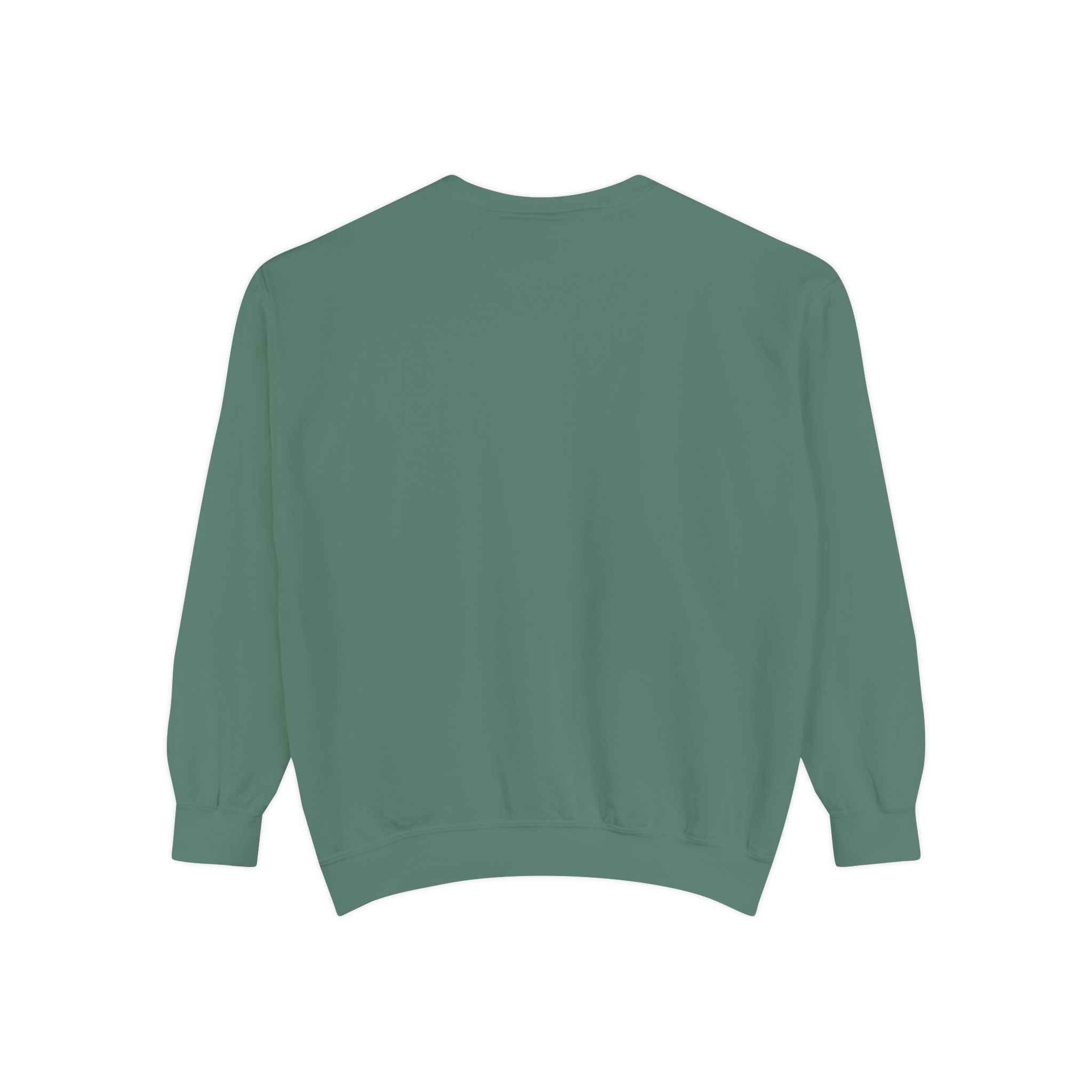 Beyond Unseen — Garment-Dyed Graphic Sweatshirt