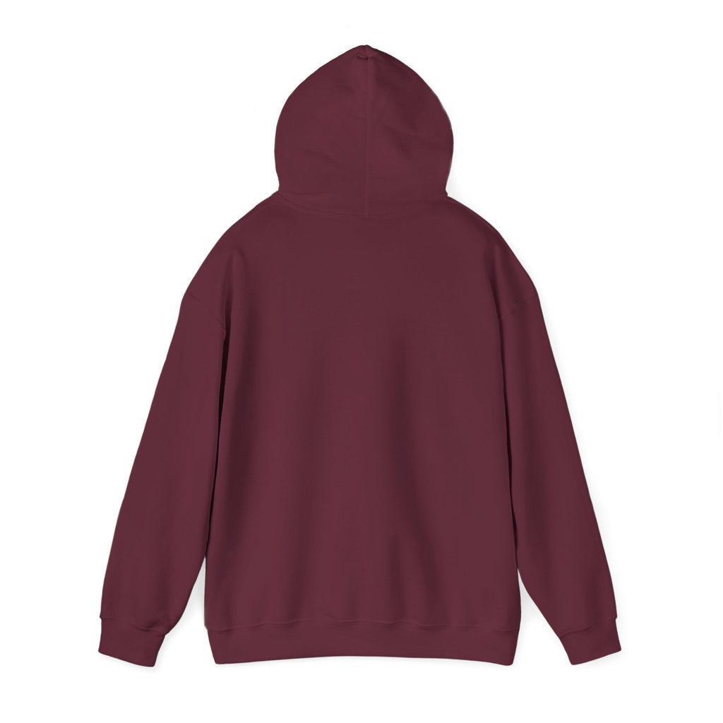 Signature Hoodie — Beyond Unseen Streetwear