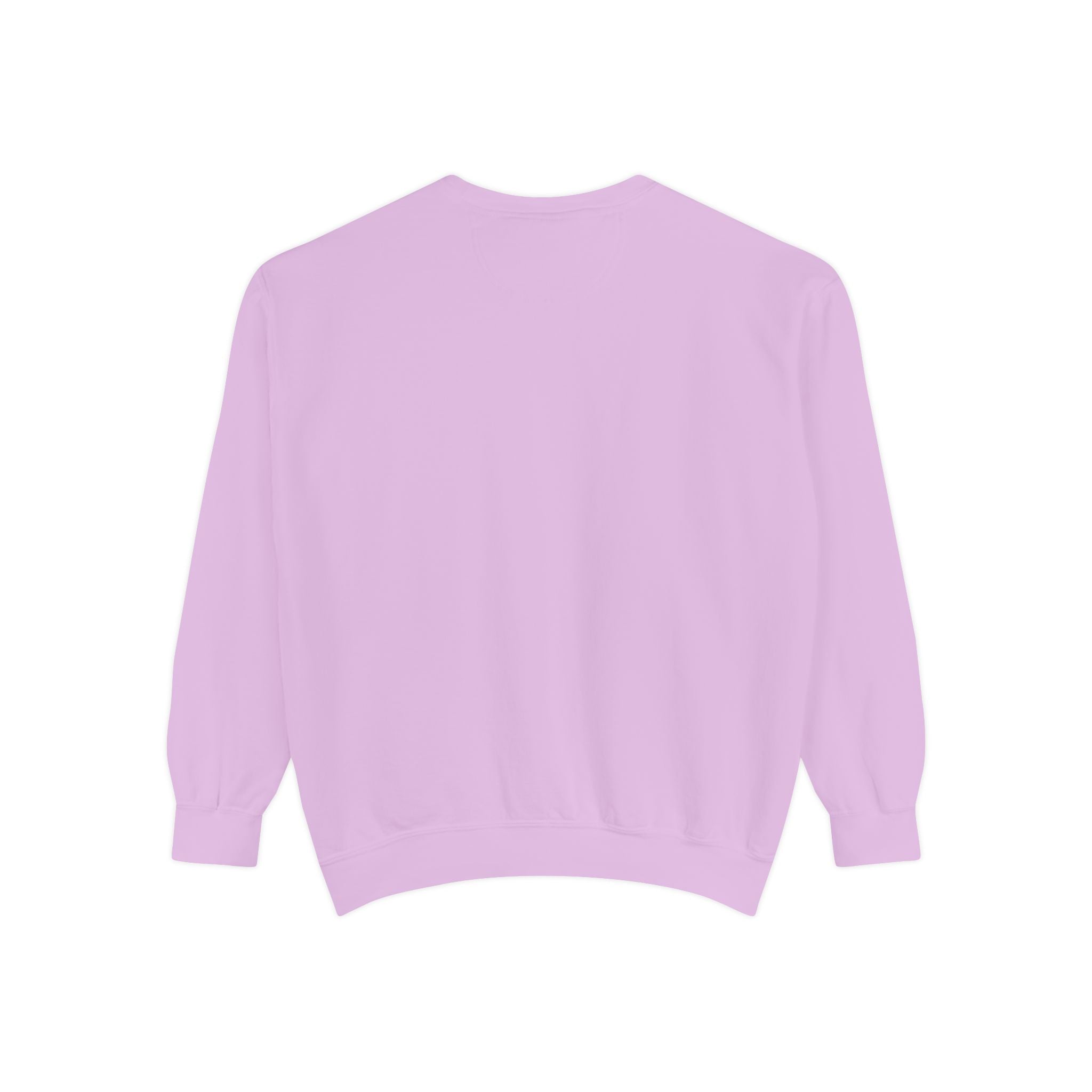 Beyond Unseen — Garment-Dyed Graphic Sweatshirt