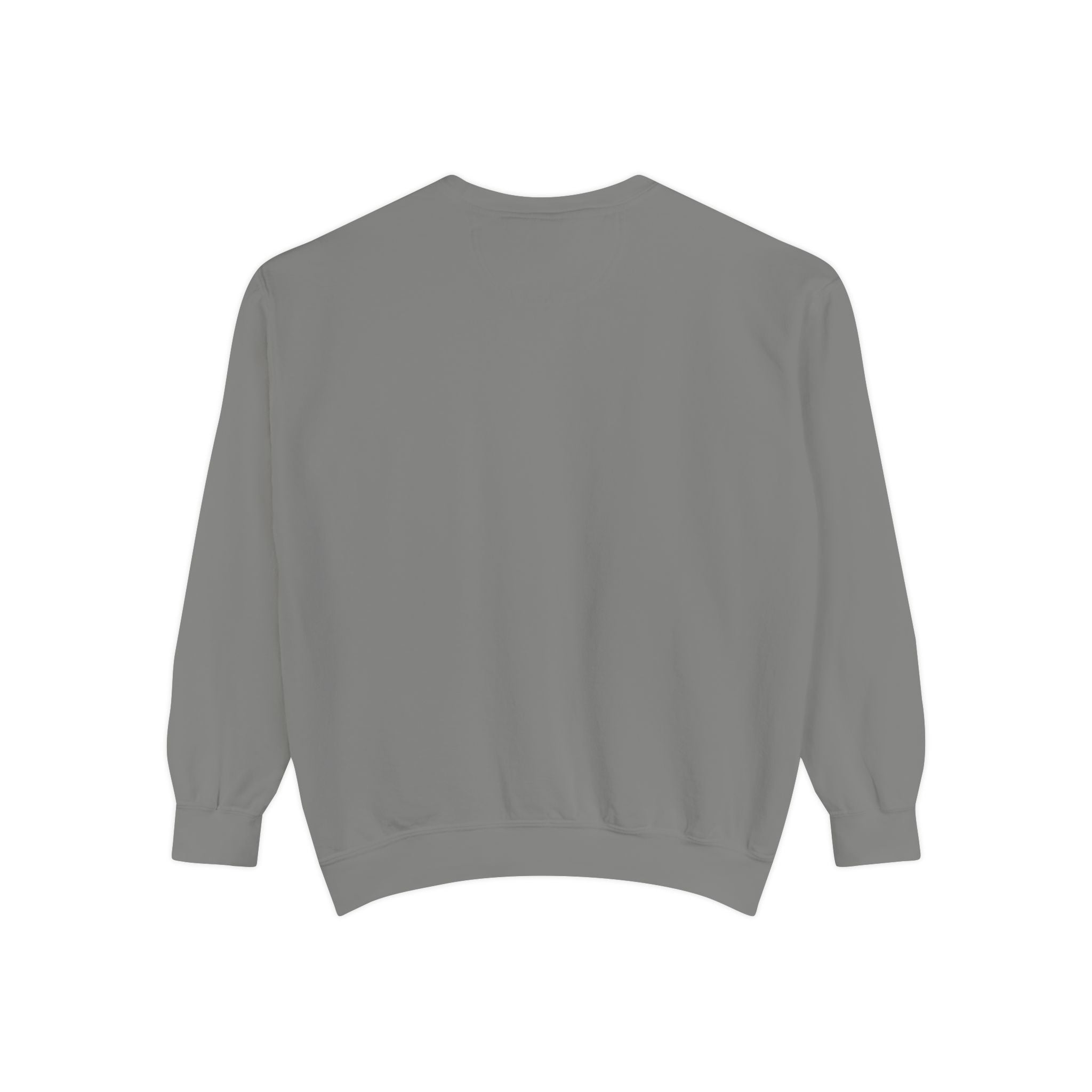 Beyond Unseen — Garment-Dyed Graphic Sweatshirt