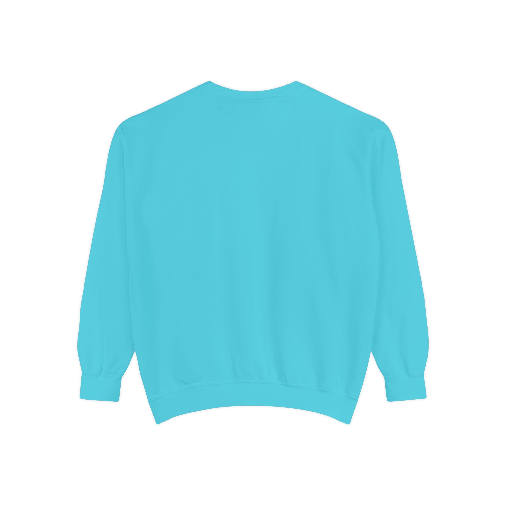 Beyond Unseen — Garment-Dyed Graphic Sweatshirt
