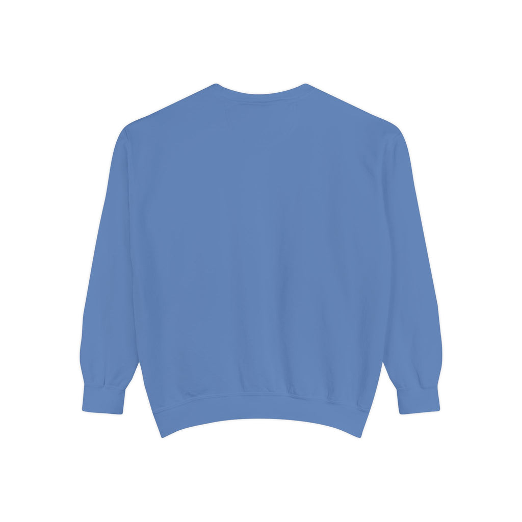 Beyond Unseen — Garment-Dyed Graphic Sweatshirt
