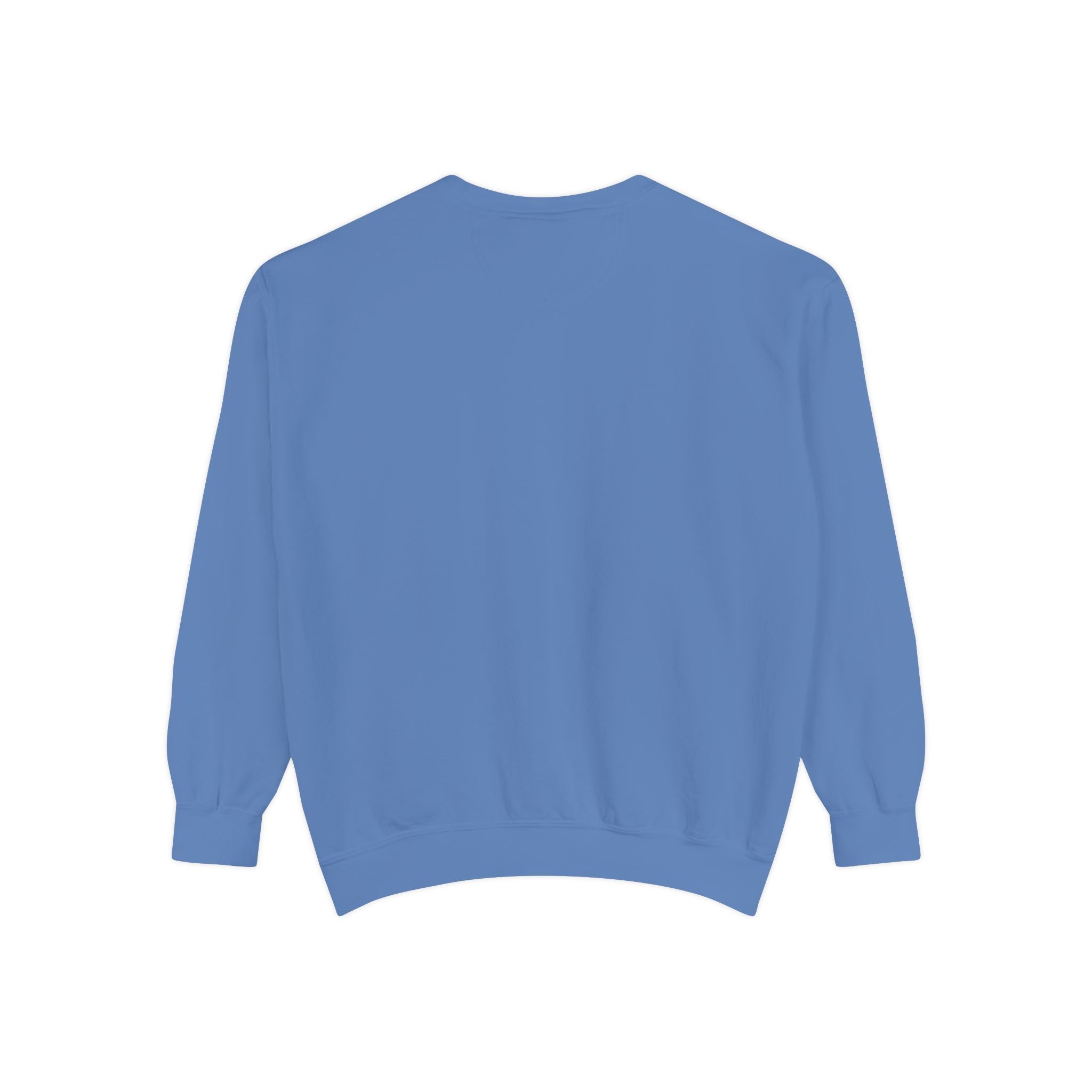 Beyond Unseen — Garment-Dyed Graphic Sweatshirt
