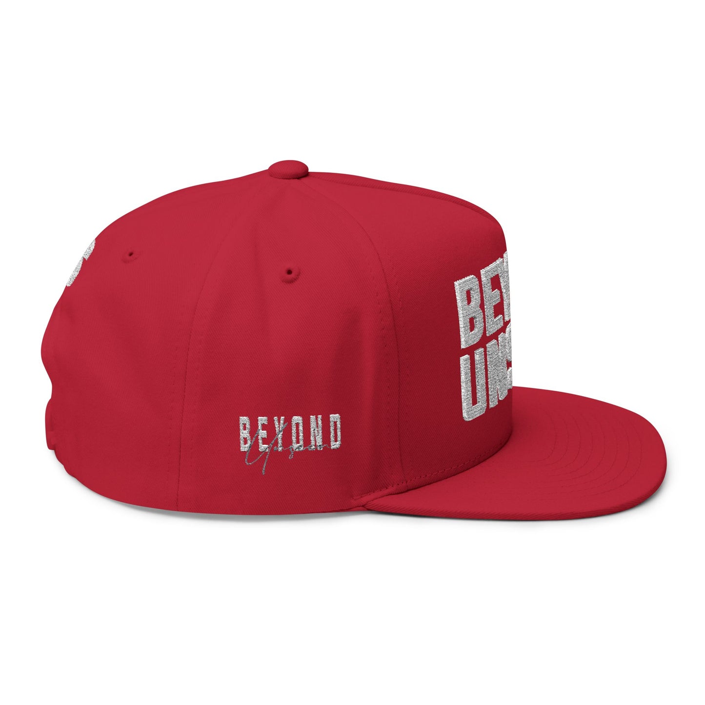 Beyond Unseen -Flat Bill Cap
