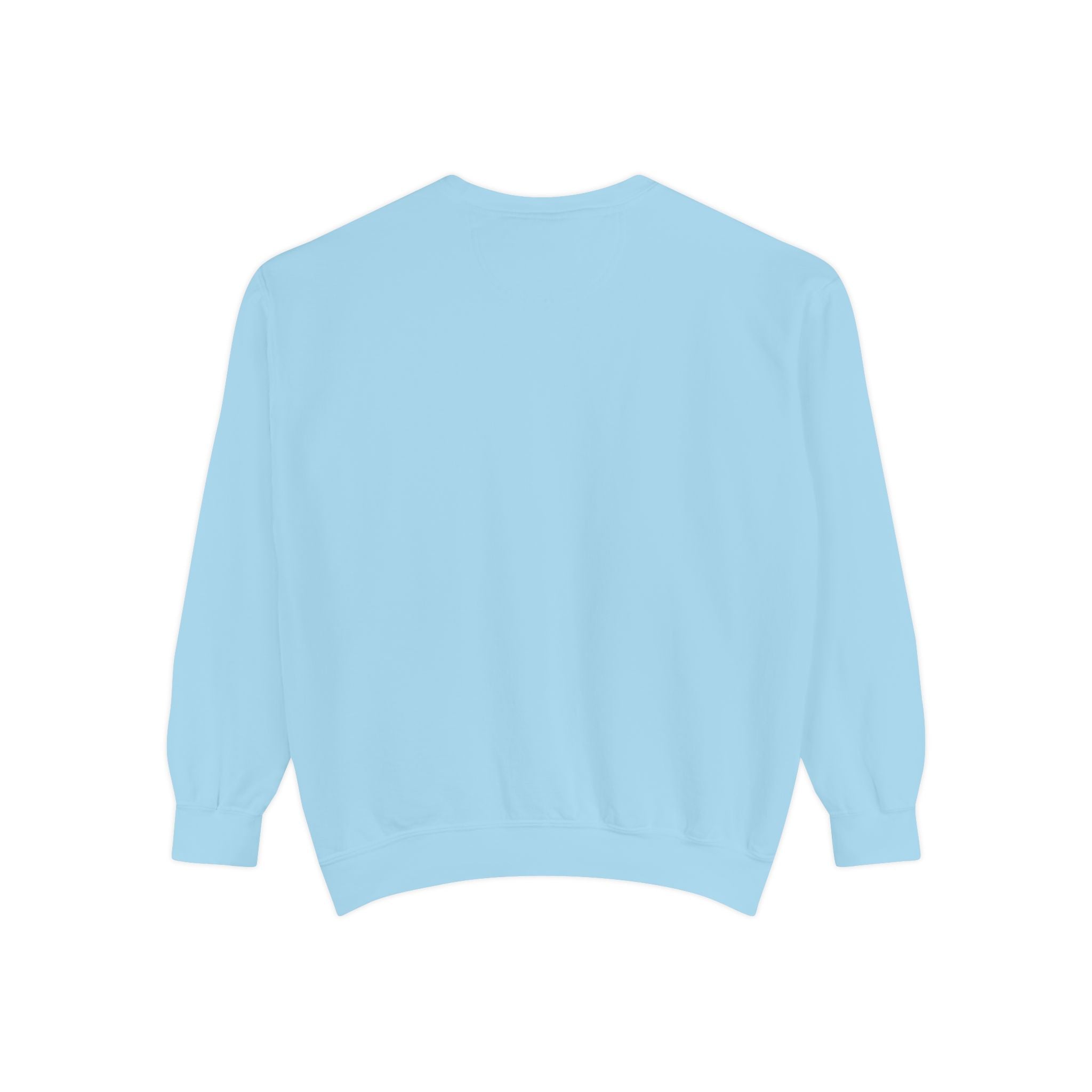 Beyond Unseen — Garment-Dyed Graphic Sweatshirt