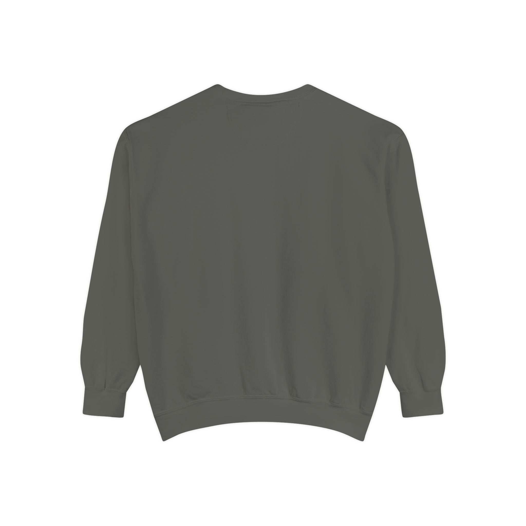 Beyond Unseen — Garment-Dyed Graphic Sweatshirt