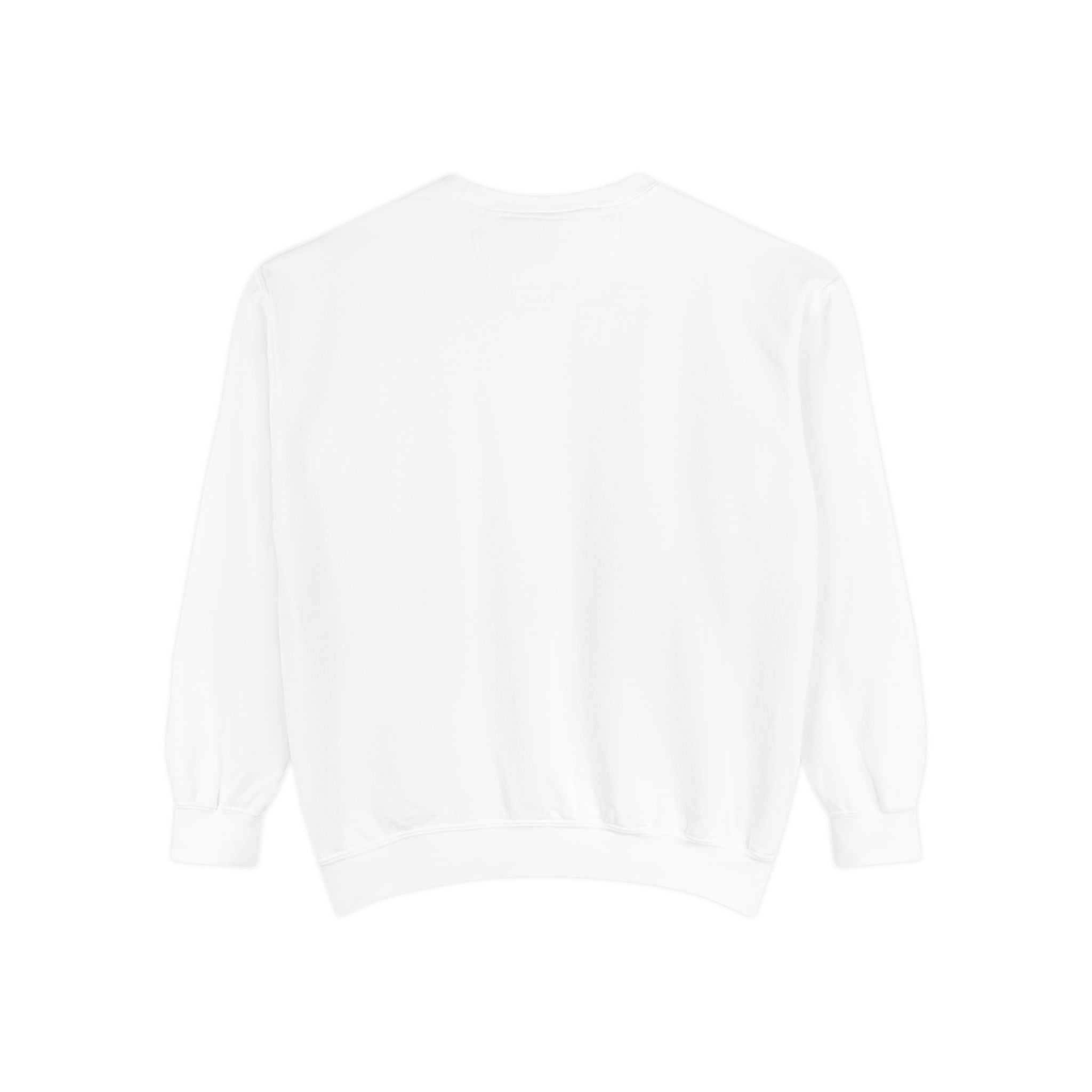 Beyond Unseen — Garment-Dyed Graphic Sweatshirt