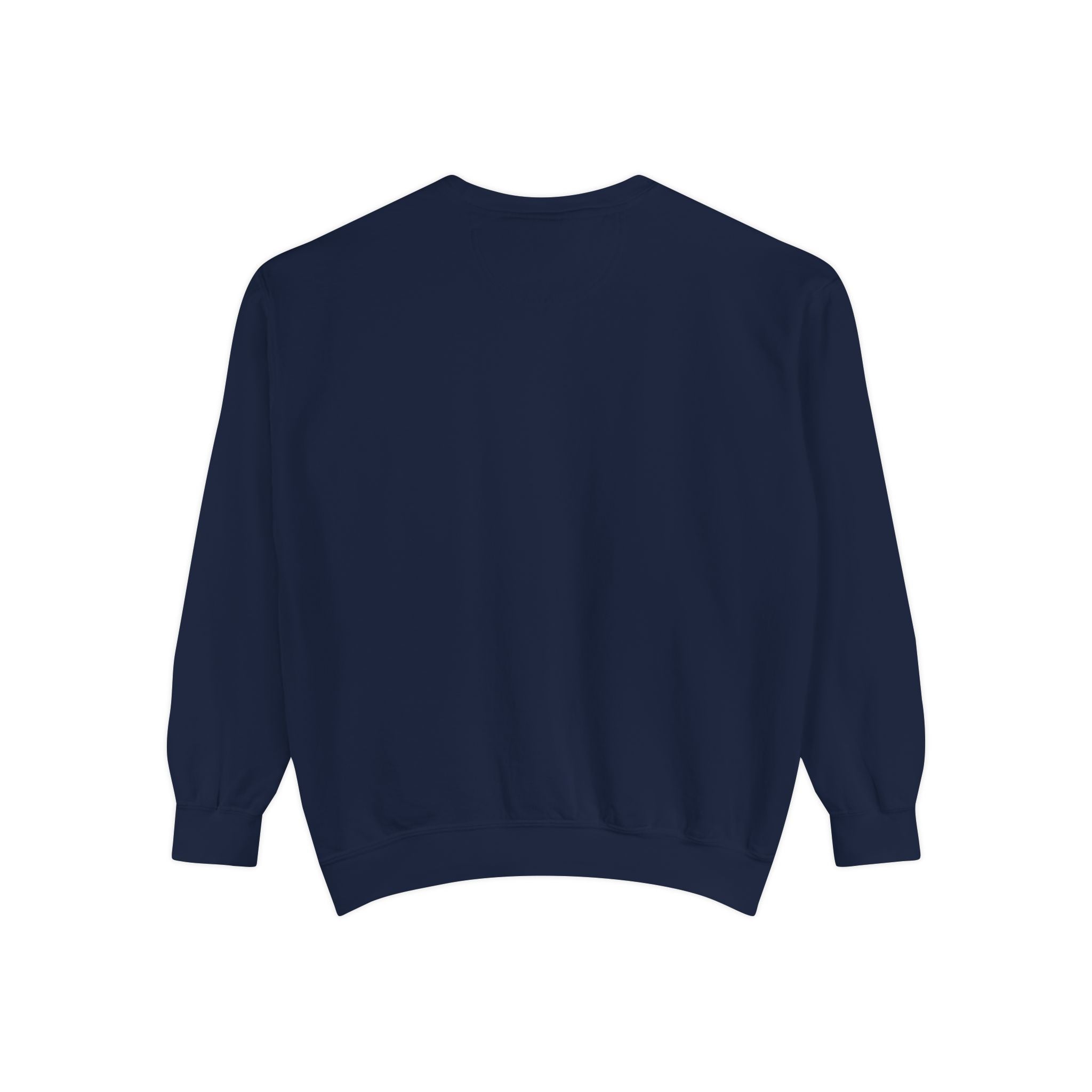 Beyond Unseen — Garment-Dyed Graphic Sweatshirt