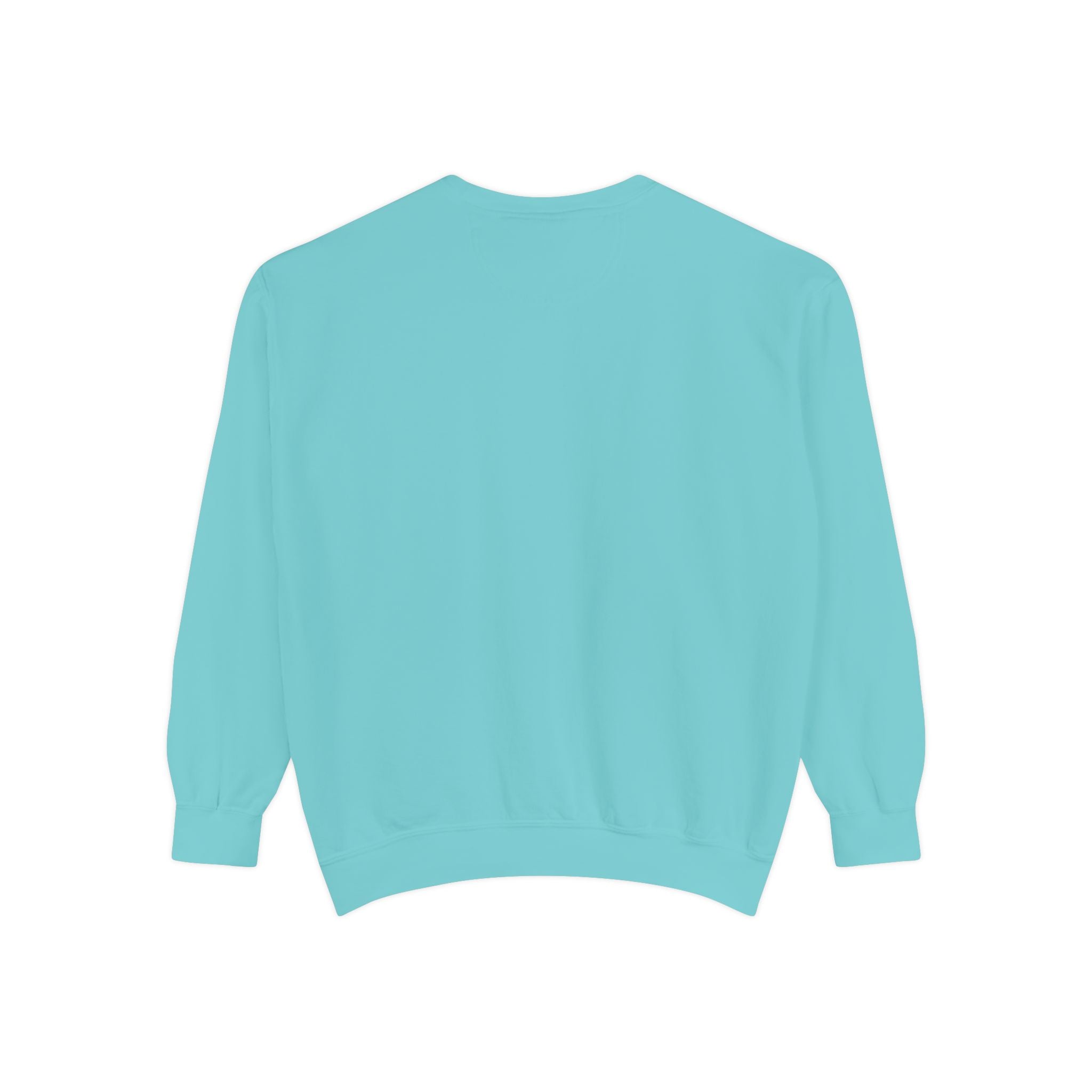 Beyond Unseen — Garment-Dyed Graphic Sweatshirt