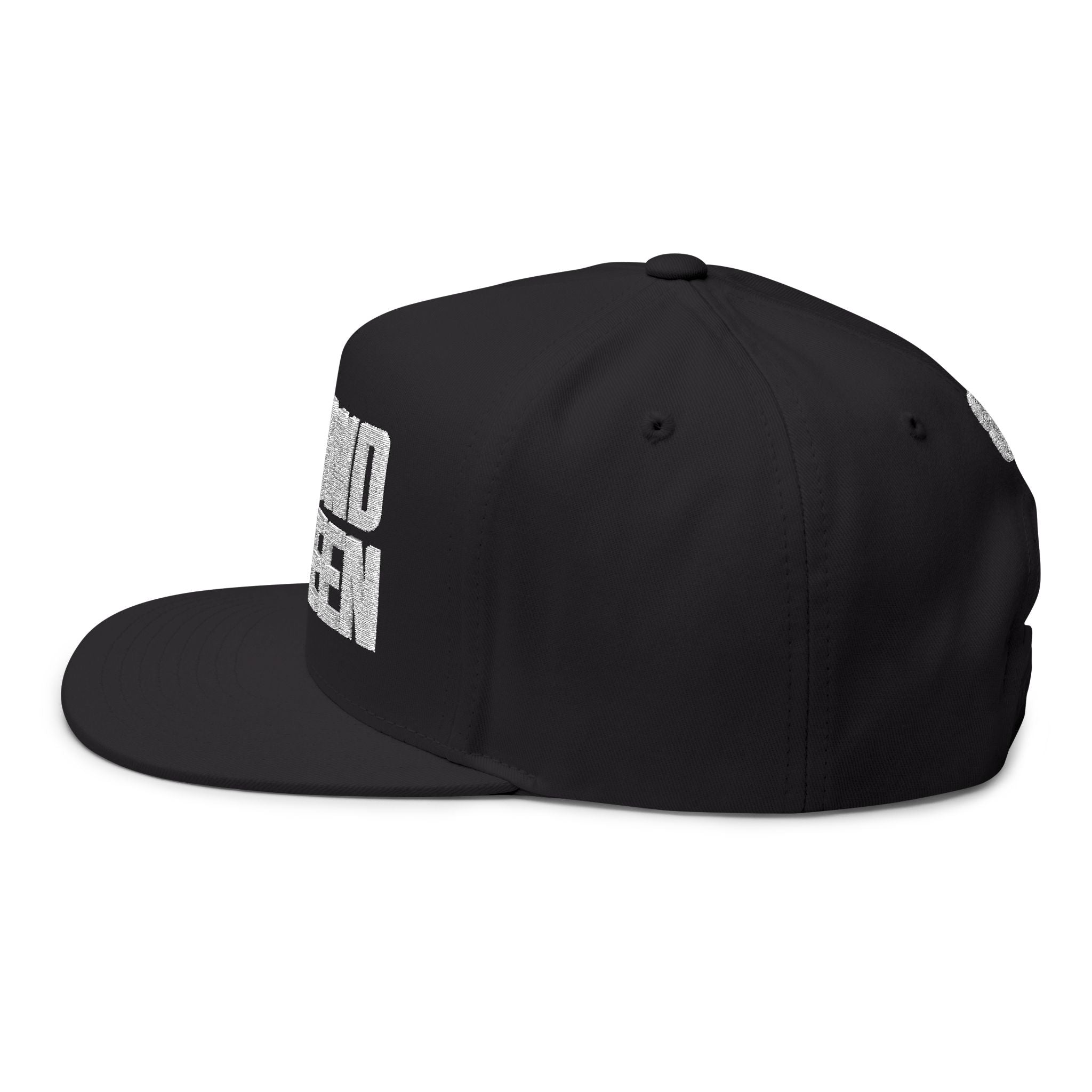 Beyond Unseen -Flat Bill Cap