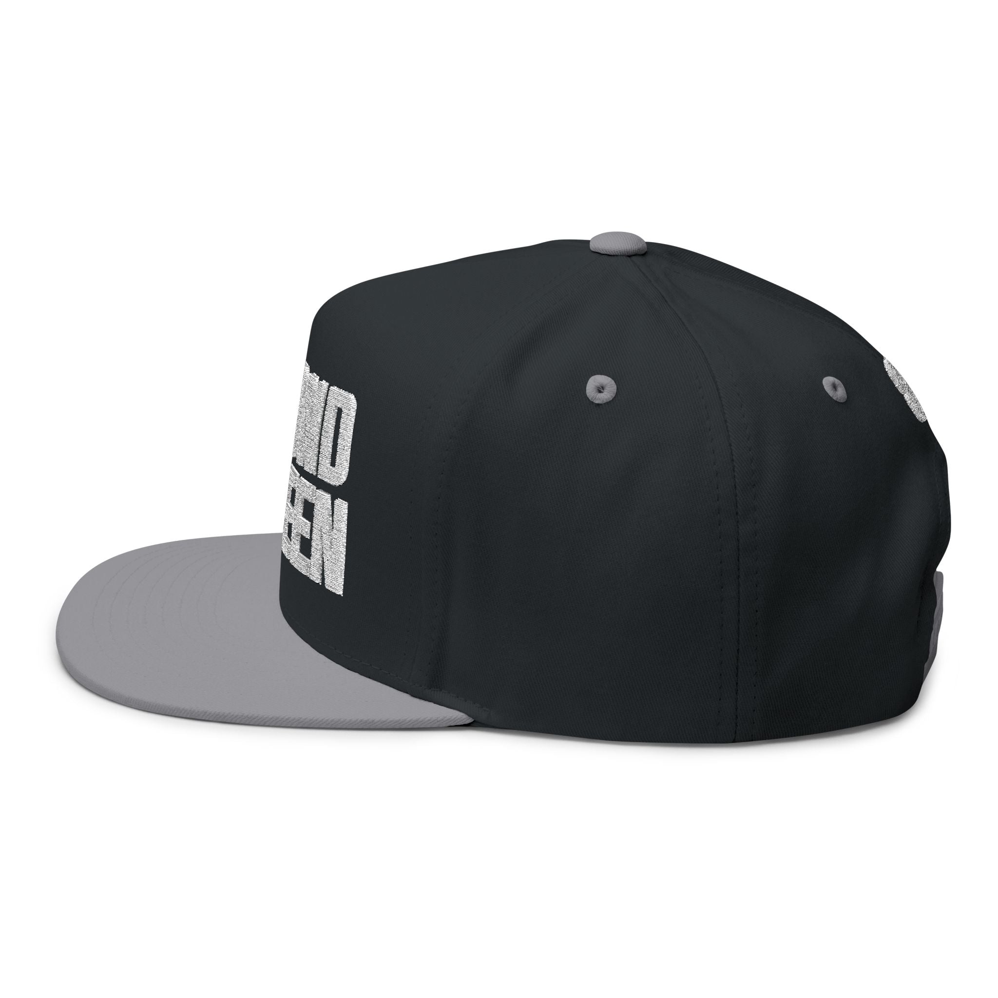 Beyond Unseen -Flat Bill Cap