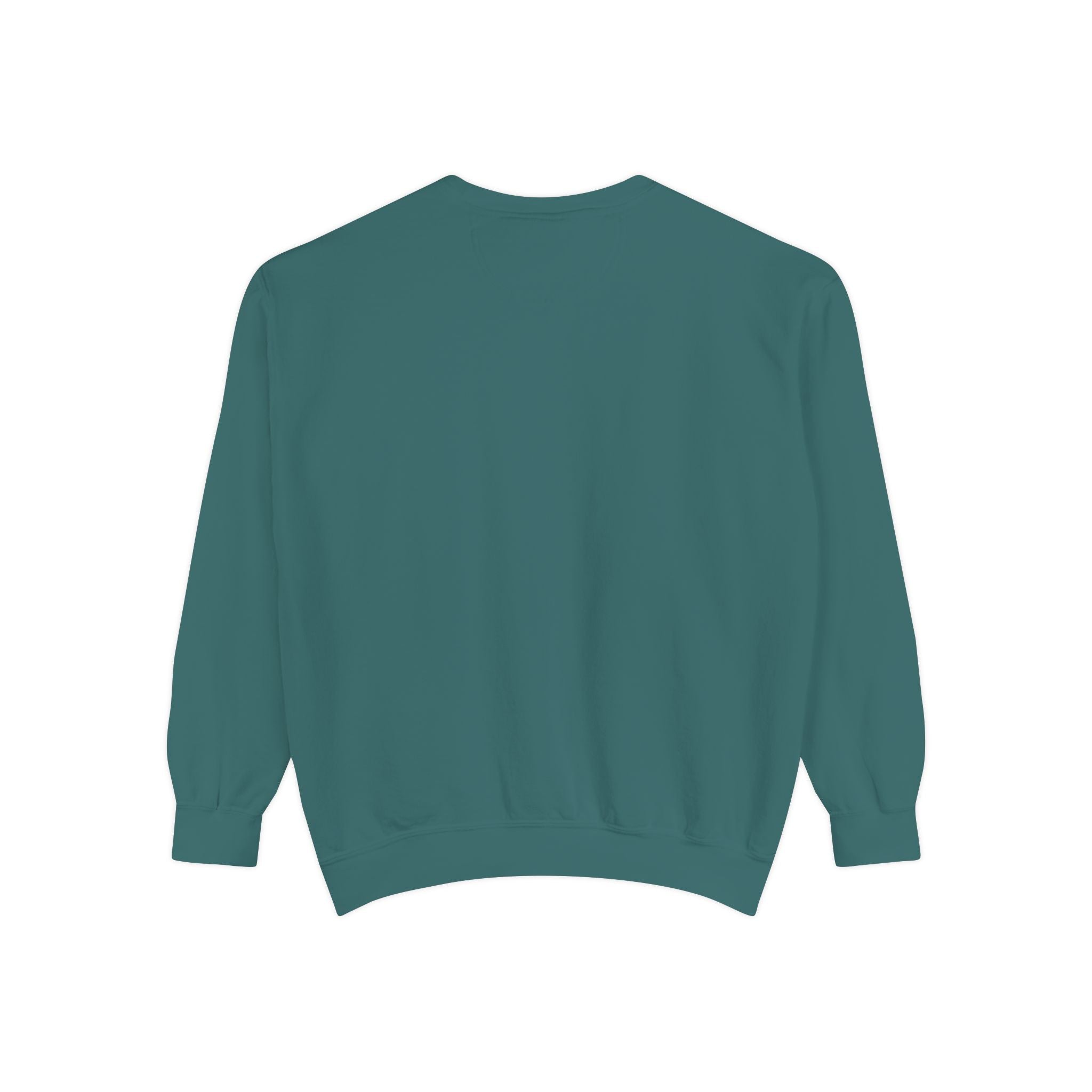 Beyond Unseen — Garment-Dyed Graphic Sweatshirt