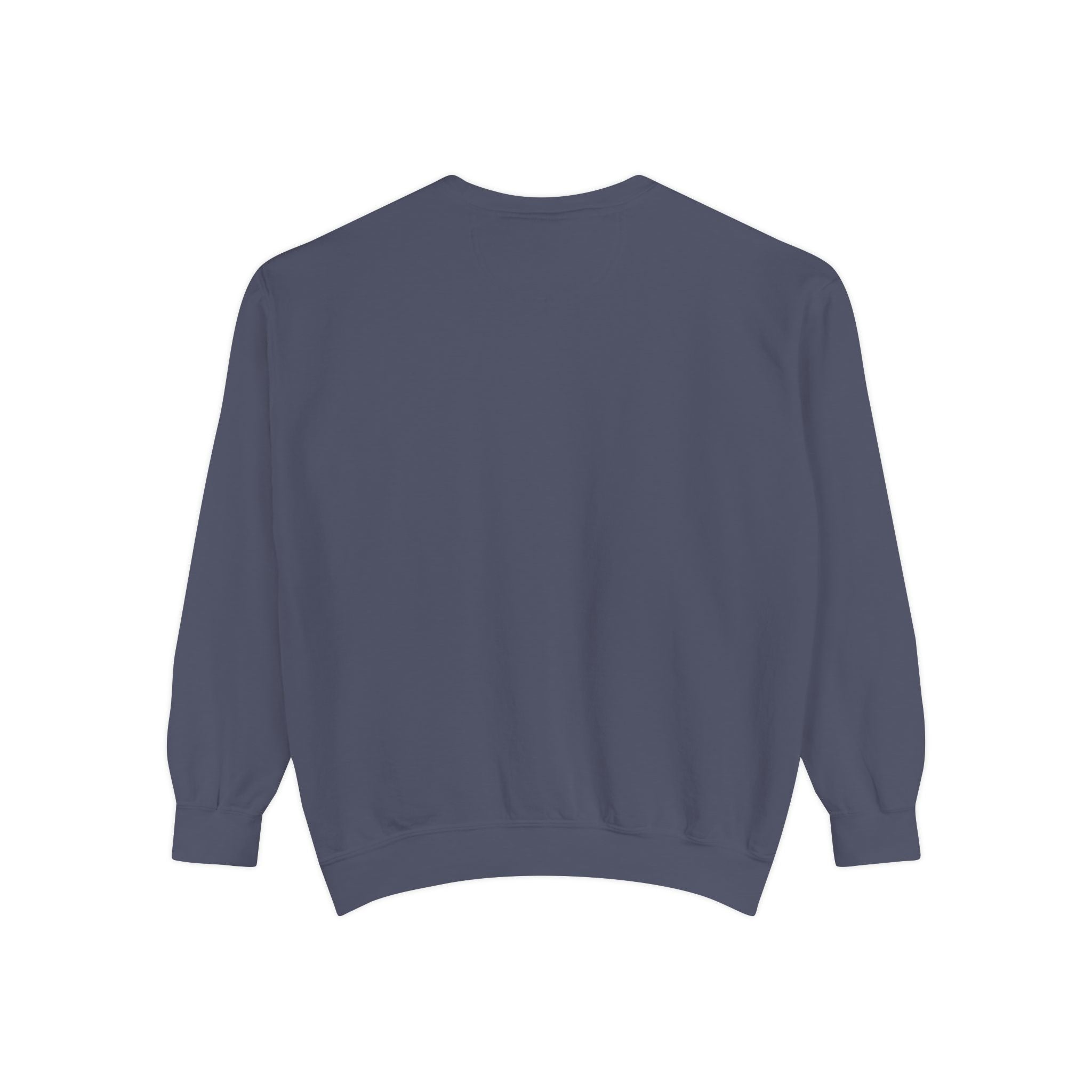 Beyond Unseen — Garment-Dyed Graphic Sweatshirt